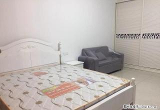 月星家居精装单身公寓 1500至2000包物业 有多套 - 嘉兴28生活网 jx.28life.com