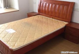 月星精装单身公寓，包物业1400 - 嘉兴28生活网 jx.28life.com