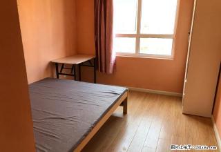 (单间出租)中关村 水果市场 义庄 大润发 嘉兴学院附近 精品单间 - 嘉兴28生活网 jx.28life.com