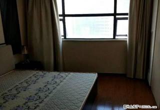 第壹医院边上，星雅汇，中纬大厦，隆腾广场多套精装修，有钥匙 - 嘉兴28生活网 jx.28life.com