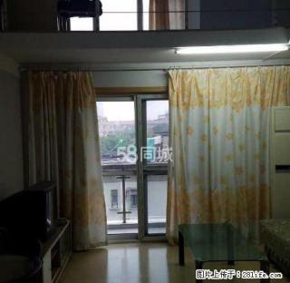 华庭街附近复试单身公寓急租，房间干净清爽设施齐全，精装 - 嘉兴28生活网 jx.28life.com