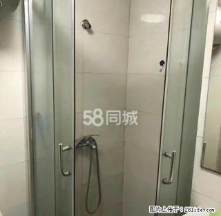 华庭街单身公寓急租，房间干净清爽设施齐全，精装 - 嘉兴28生活网 jx.28life.com