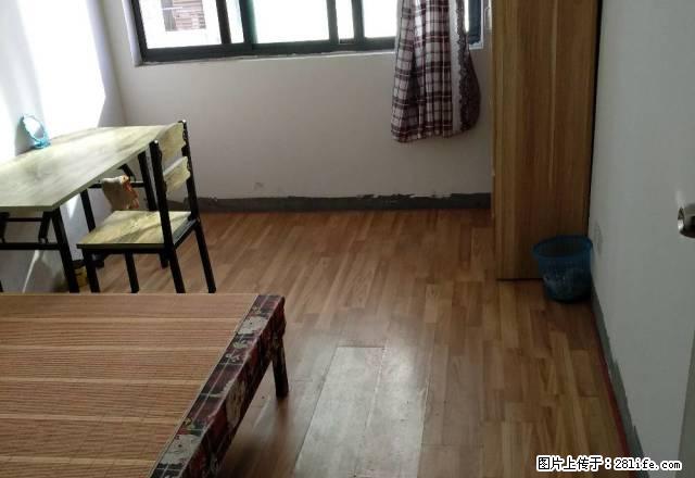 (单间出租)江南摩尔旁,永泰广场,春晓源,旭辉朗香郡,新中国际,多套出租 - 房屋出租 - 房屋租售 - 嘉兴分类信息 - 嘉兴28生活网 jx.28life.com