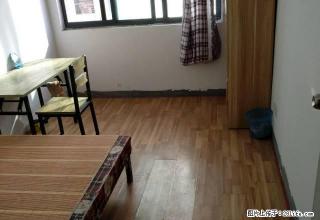 (单间出租)江南摩尔旁，永泰广场，春晓源，旭辉朗香郡，新中国际，多套出租 - 嘉兴28生活网 jx.28life.com