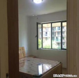 嘉兴3室2300元好房出租,居住舒适,干净整洁,随时入住 - 嘉兴28生活网 jx.28life.com