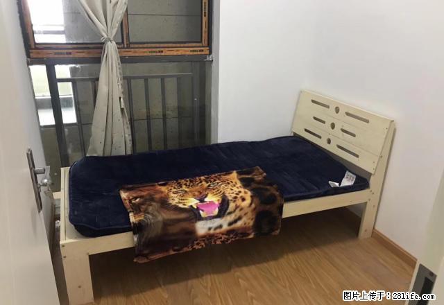 无中介费，2500新中国际包物业实惠房源首租 - 房屋出租 - 房屋租售 - 嘉兴分类信息 - 嘉兴28生活网 jx.28life.com