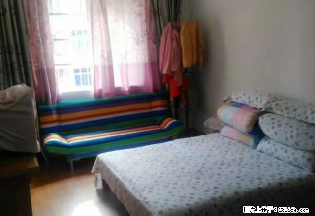 月河附近，清河西区，少年公寓，荷花堤多套出租，精装，设施齐全 - 房屋出租 - 房屋租售 - 嘉兴分类信息 - 嘉兴28生活网 jx.28life.com