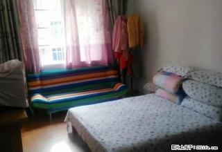 月河附近，清河西区，少年公寓，荷花堤多套出租，精装，设施齐全 - 嘉兴28生活网 jx.28life.com