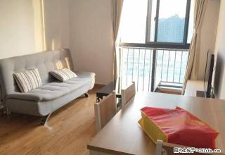 豪装，边套，景观房，有钥匙，随时看房 - 嘉兴28生活网 jx.28life.com