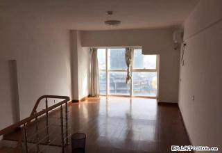 元一柏庄现代广场住人办公住出租，精装修，交通便利，好位置 - 嘉兴28生活网 jx.28life.com