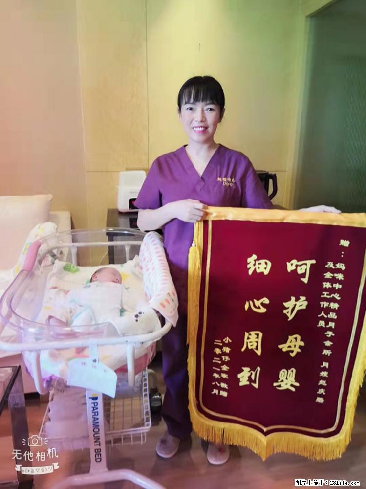 上海高端月子会所招新手月嫂，零基础带教，包吃住 - 职场交流 - 嘉兴生活社区 - 嘉兴28生活网 jx.28life.com