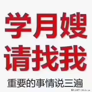 【招聘】月嫂，上海徐汇区 - 嘉兴28生活网 jx.28life.com
