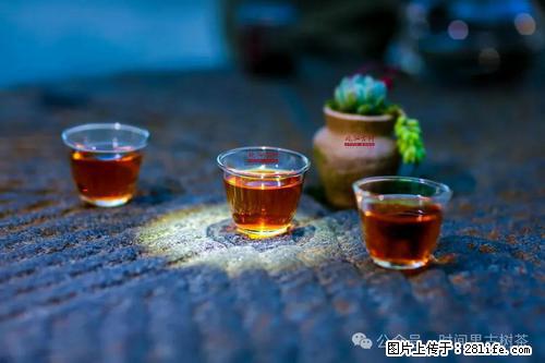 时间果百年古树2025年春红茶 - 购物交流 - 嘉兴生活社区 - 嘉兴28生活网 jx.28life.com