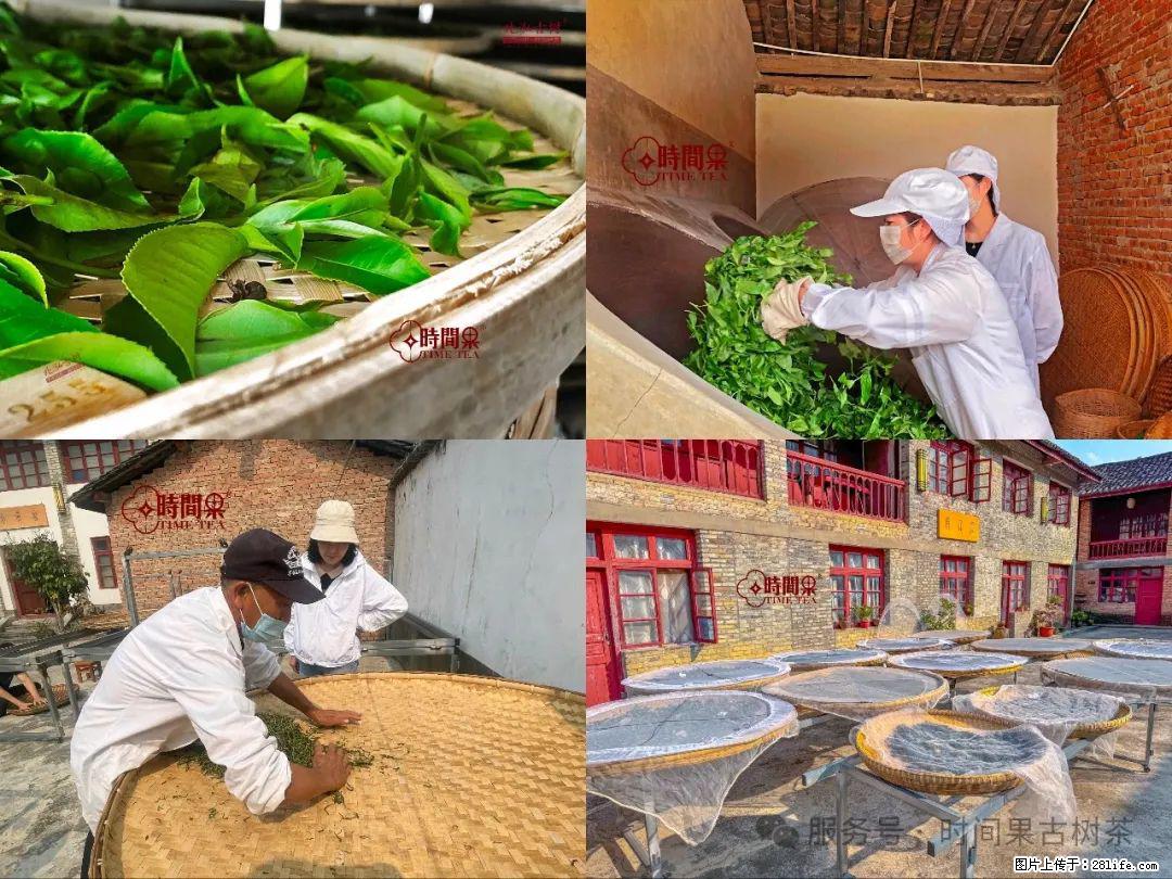 时间果百年古树龙珠普洱生茶 - 购物交流 - 嘉兴生活社区 - 嘉兴28生活网 jx.28life.com