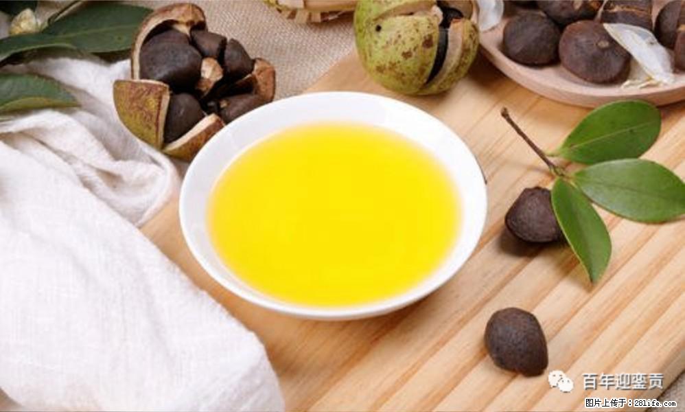 揭秘茶油的5大核心营养成分！被称为人体健康的“守护盾”！ - 嘉兴生活资讯 - 嘉兴28生活网 jx.28life.com