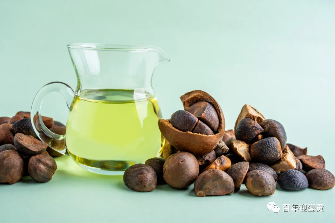 世界没有真相，只有认知，最好的食用油是中国的山茶油！ - 嘉兴生活资讯 - 嘉兴28生活网 jx.28life.com