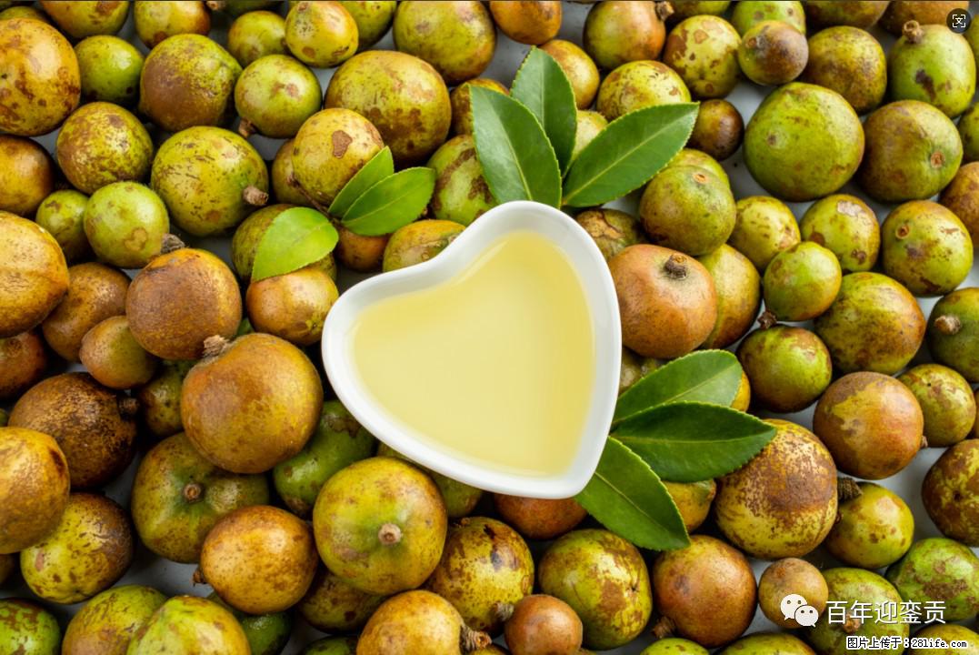 世界没有真相，只有认知，最好的食用油是中国的山茶油！ - 嘉兴生活资讯 - 嘉兴28生活网 jx.28life.com