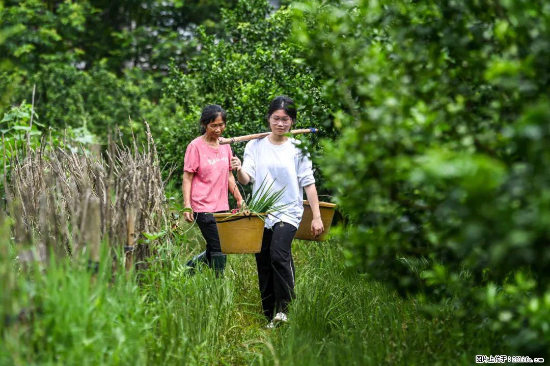 全网追的“扁担女孩”，找了一份暑假工，时薪12元 - 嘉兴生活资讯 - 嘉兴28生活网 jx.28life.com