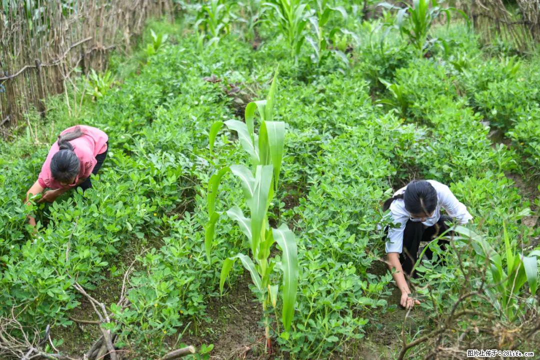 全网追的“扁担女孩”，找了一份暑假工，时薪12元 - 嘉兴生活资讯 - 嘉兴28生活网 jx.28life.com