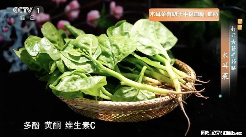 比牛奶补钙还厉害！凉血解毒、稳血糖...这菜冬天必吃，很多人却当草 - 嘉兴生活资讯 - 嘉兴28生活网 jx.28life.com