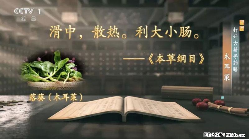 比牛奶补钙还厉害！凉血解毒、稳血糖...这菜冬天必吃，很多人却当草 - 嘉兴生活资讯 - 嘉兴28生活网 jx.28life.com