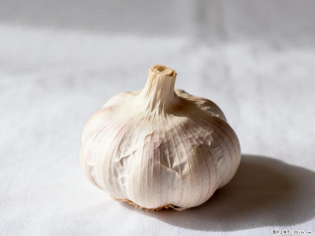关于大蒜，除了“天然抗生素”，这4个谣言更该警惕! - 嘉兴生活资讯 - 嘉兴28生活网 jx.28life.com