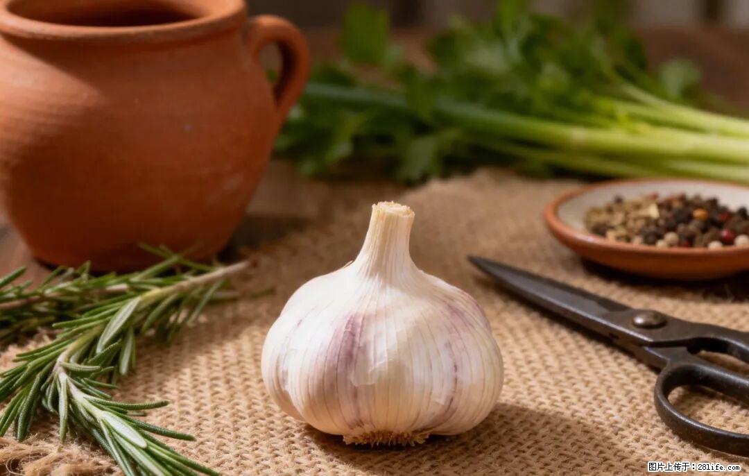 关于大蒜，除了“天然抗生素”，这4个谣言更该警惕! - 嘉兴生活资讯 - 嘉兴28生活网 jx.28life.com