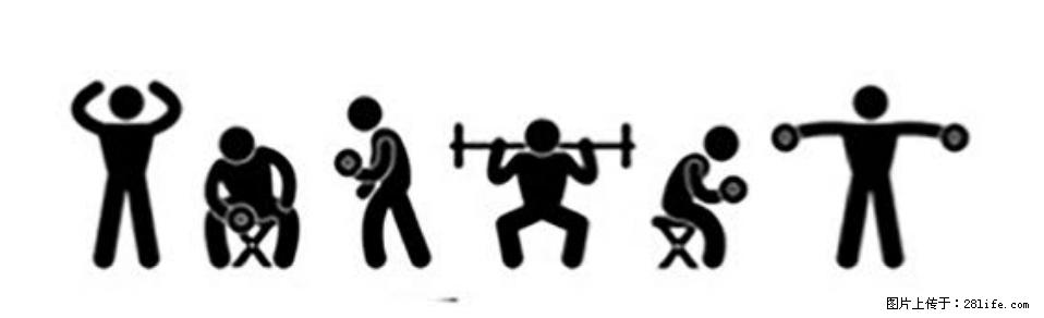 坚持这种运动6个月，心脏有了显著变化！不是跑步，也不是走路 - 嘉兴生活资讯 - 嘉兴28生活网 jx.28life.com