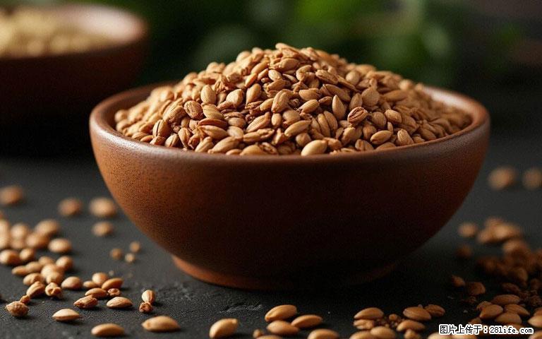 这三苦是三高“克星”，心血管干净不易堵！每天吃一点，指标慢慢降下来~ - 嘉兴生活资讯 - 嘉兴28生活网 jx.28life.com