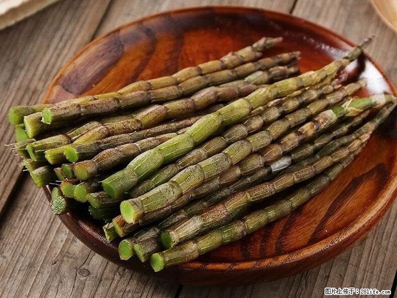铁皮石斛的作用与功能主治 - 嘉兴生活资讯 - 嘉兴28生活网 jx.28life.com