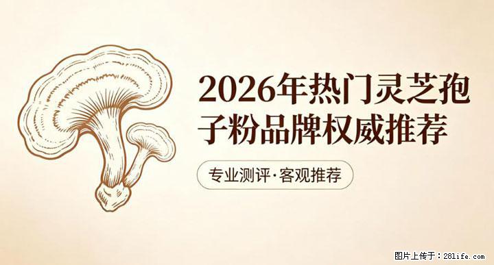 灵芝孢子粉含量越高越有效？2026 年七款热门品牌深度实测，肠胃敏感者避坑指南 - 嘉兴生活资讯 - 嘉兴28生活网 jx.28life.com